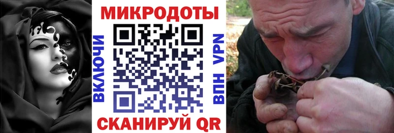 Галлюциногенные грибы Psilocybine cubensis  Хадыженск 